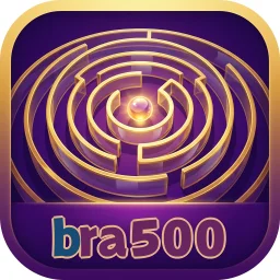 bra500